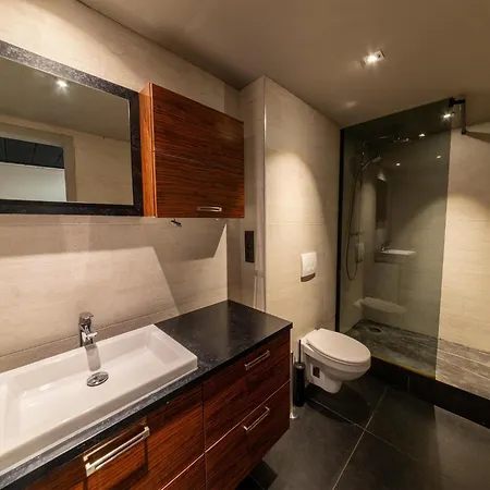 Luxury With Pool Beausaint