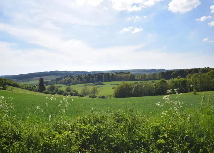 Luxury With Pool * Beausaint