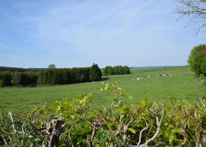 Luxury With Pool 別荘 *